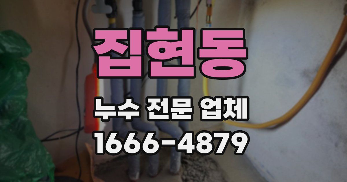 집현동 누수 전문 업체