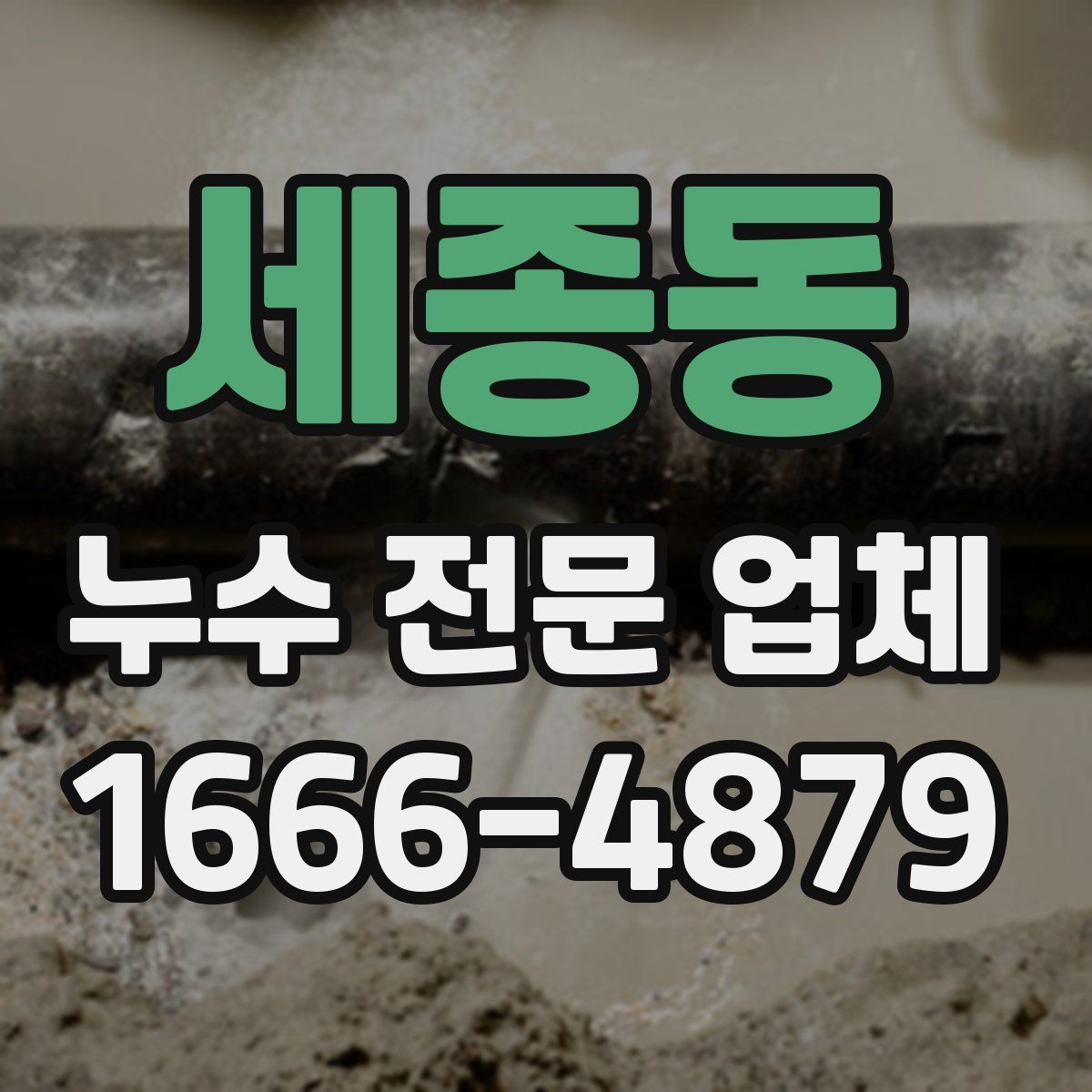 세종동 누수 전문 업체