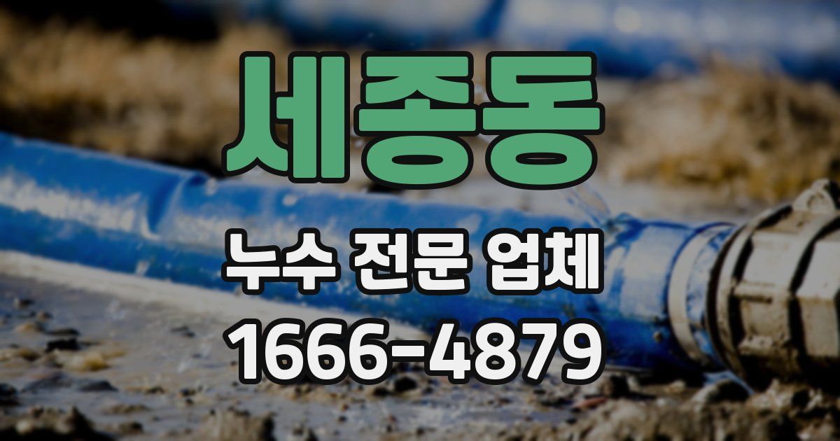 세종동 누수 전문 업체