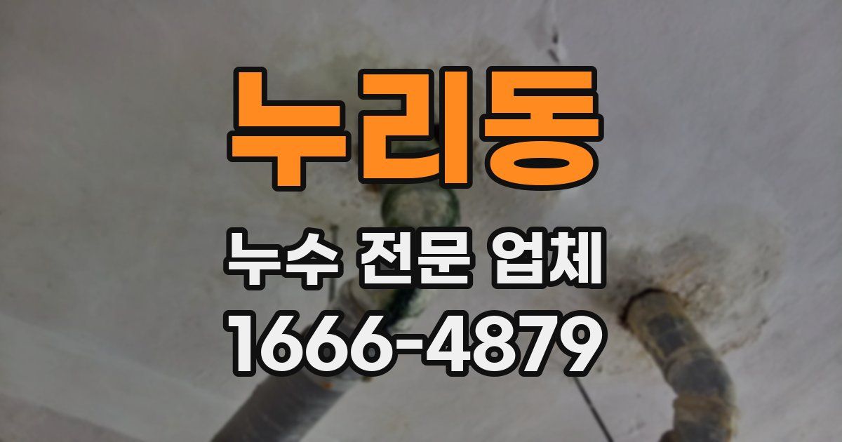 누리동 누수 전문 업체