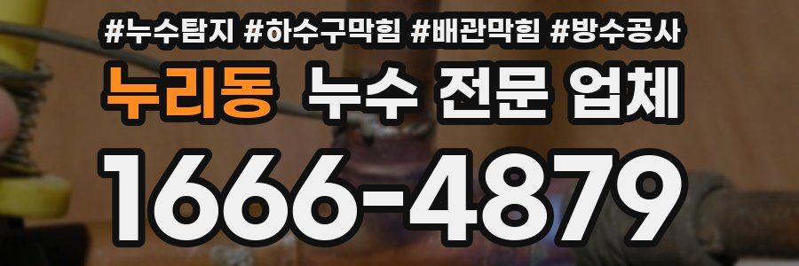 누리동 누수 전문 업체