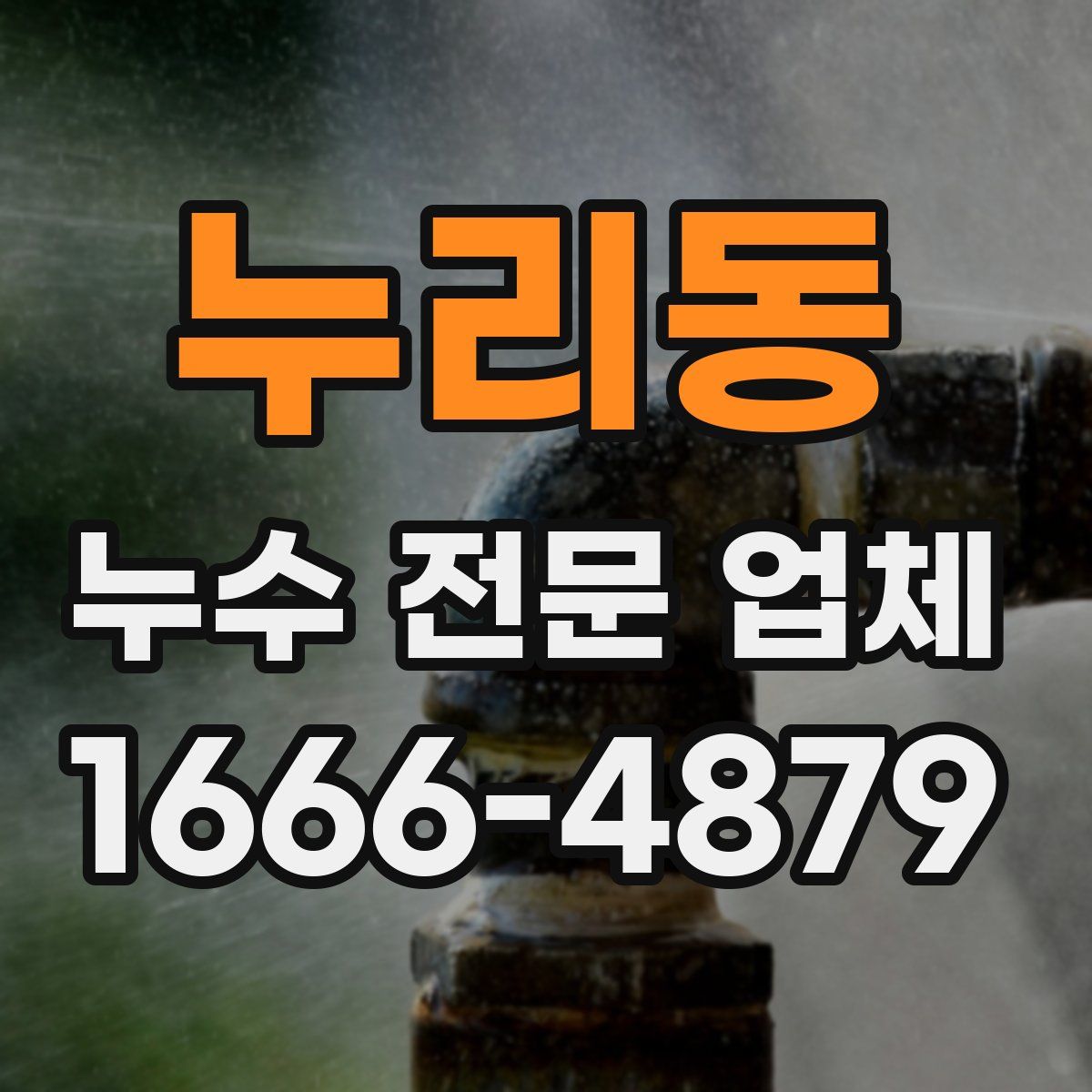 누리동 누수 전문 업체