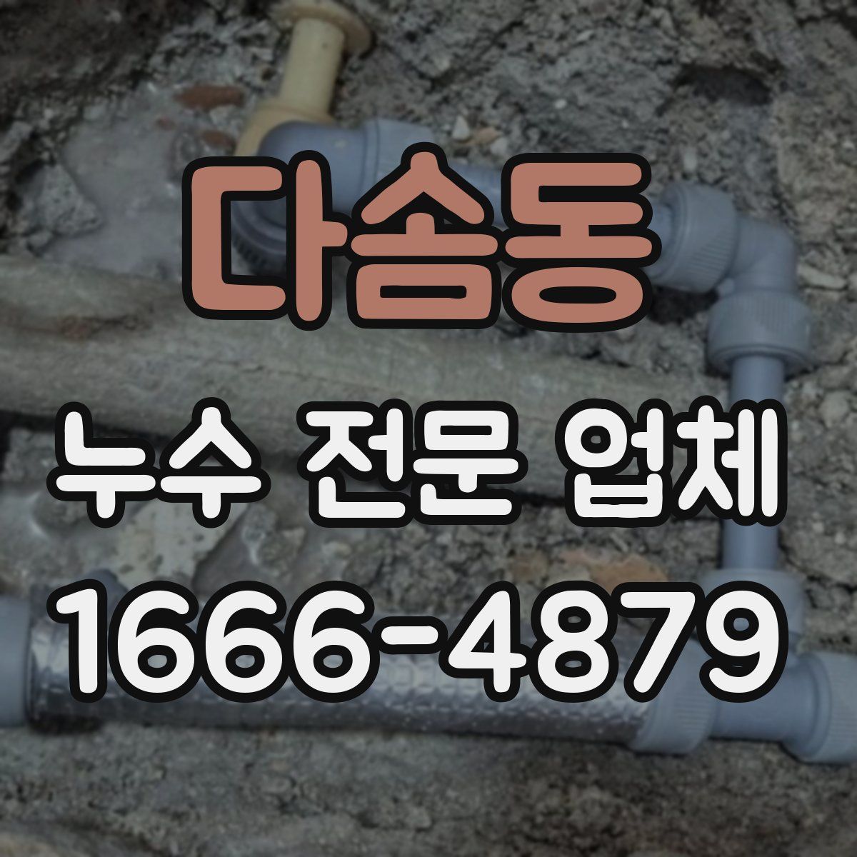 다솜동 누수 전문 업체
