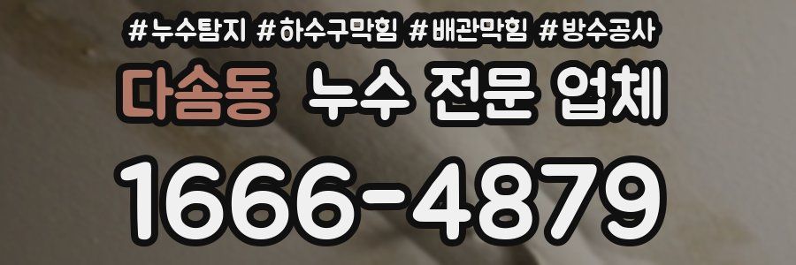 다솜동 누수 전문 업체