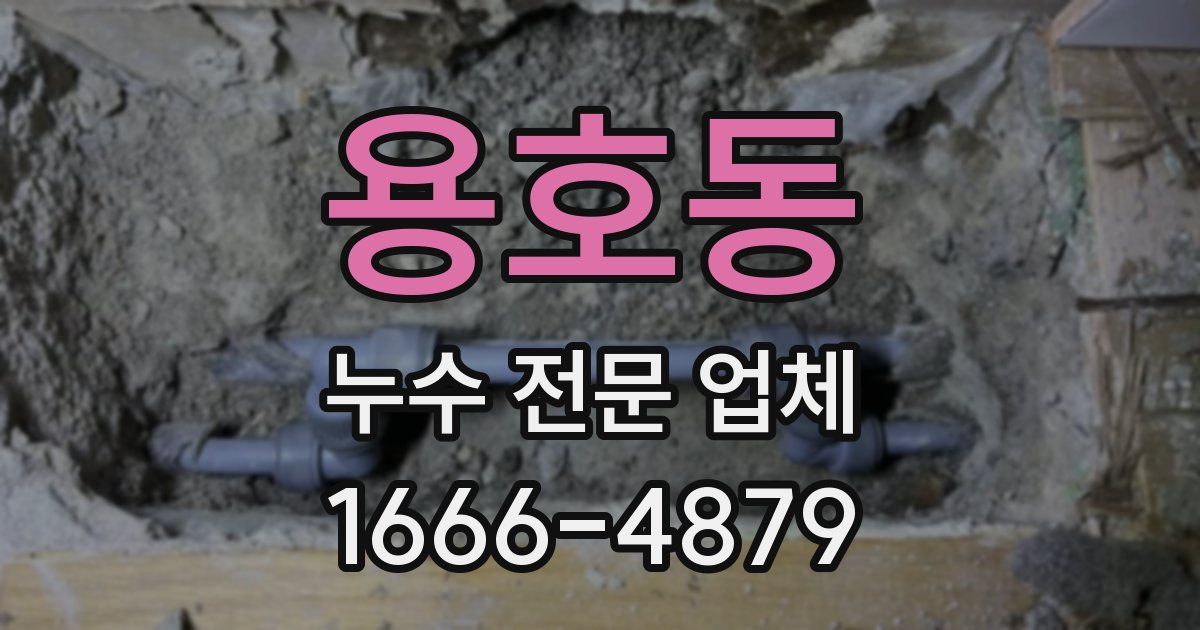 용호동 누수 전문 업체