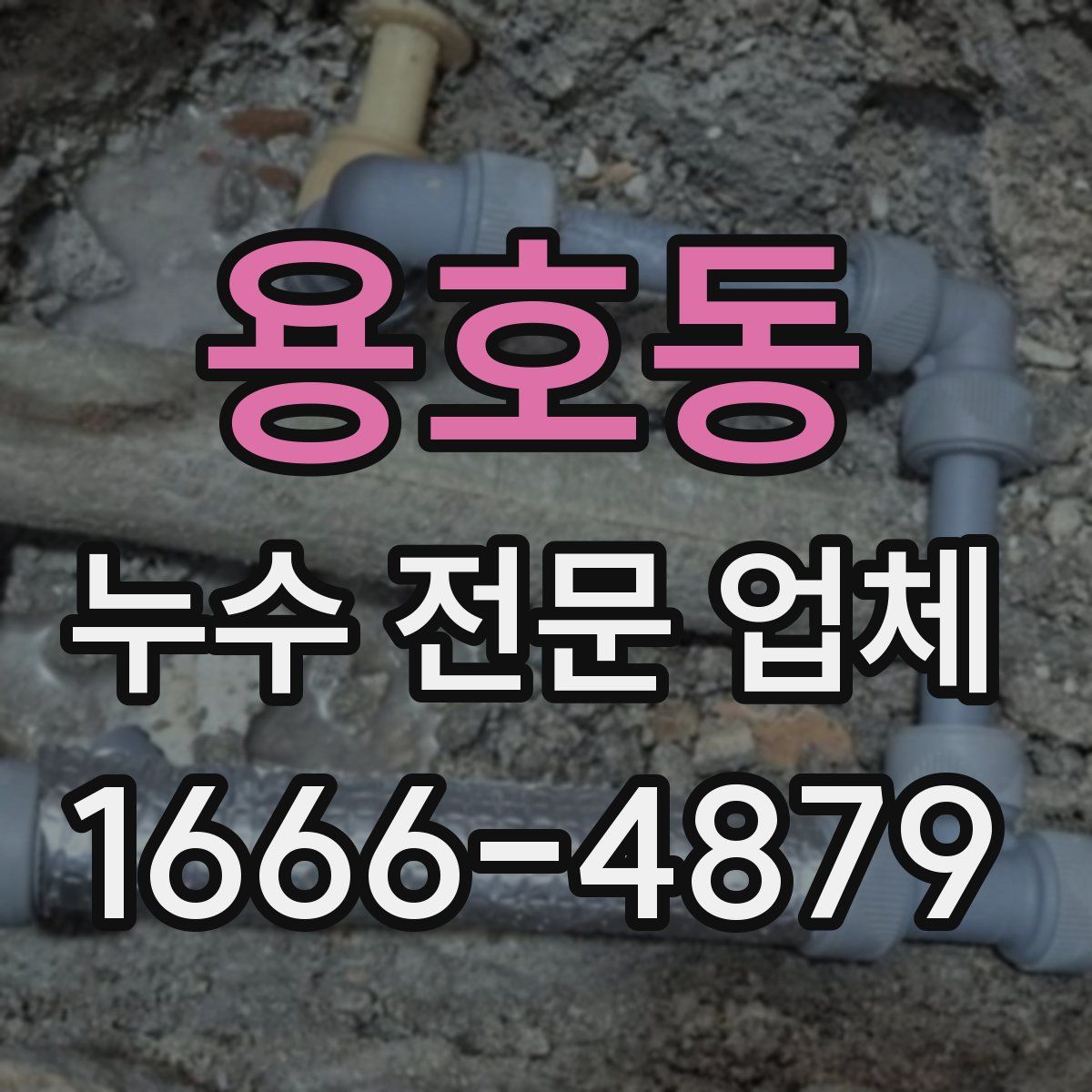 용호동 누수 전문 업체