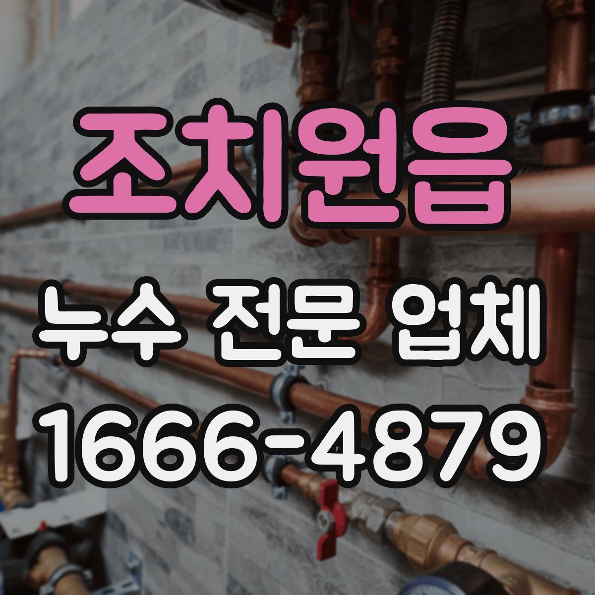 조치원읍 누수 전문 업체