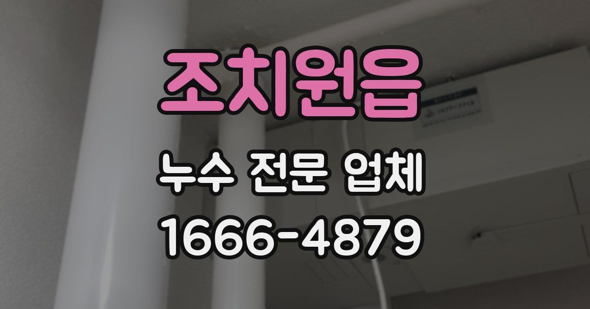 조치원읍 누수 전문 업체
