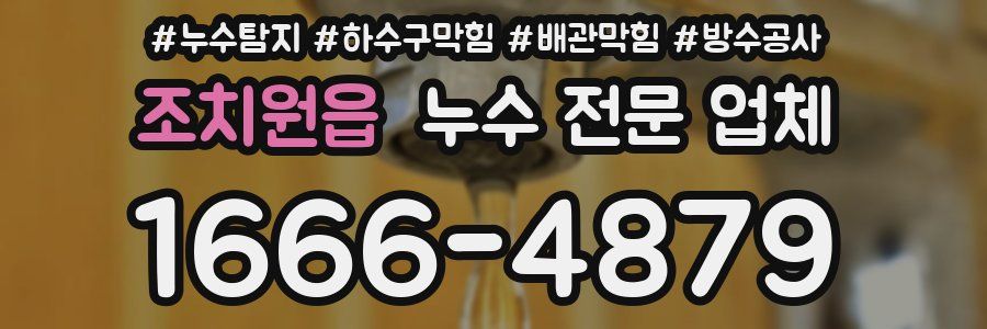 조치원읍 누수 전문 업체