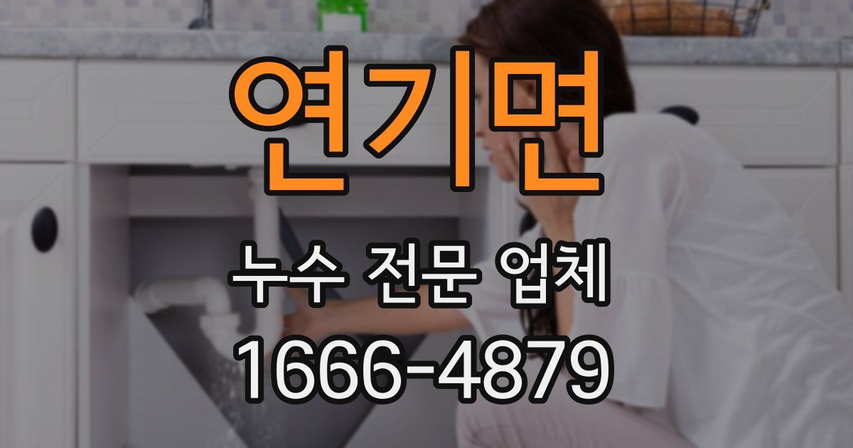 연기면 누수 전문 업체