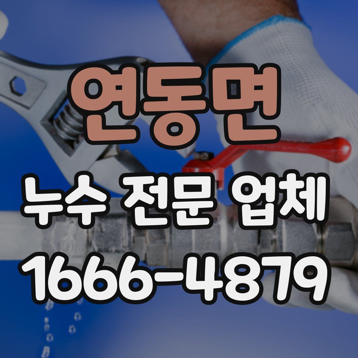 연동면 누수 전문 업체