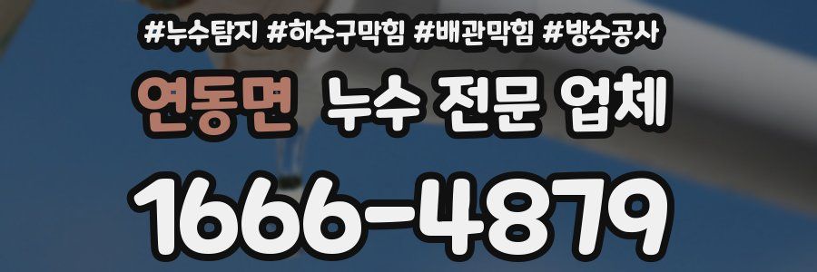 연동면 누수 전문 업체