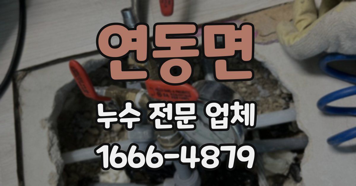 연동면 누수 전문 업체
