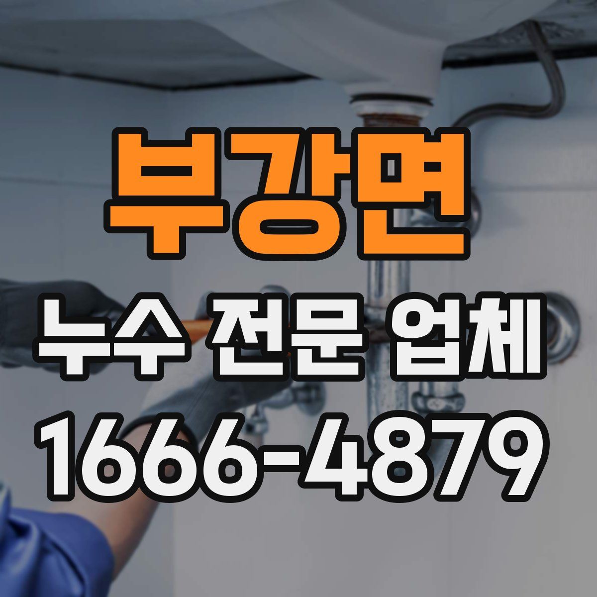 부강면 누수 전문 업체