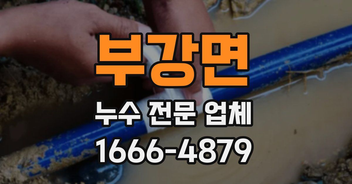 부강면 누수 전문 업체
