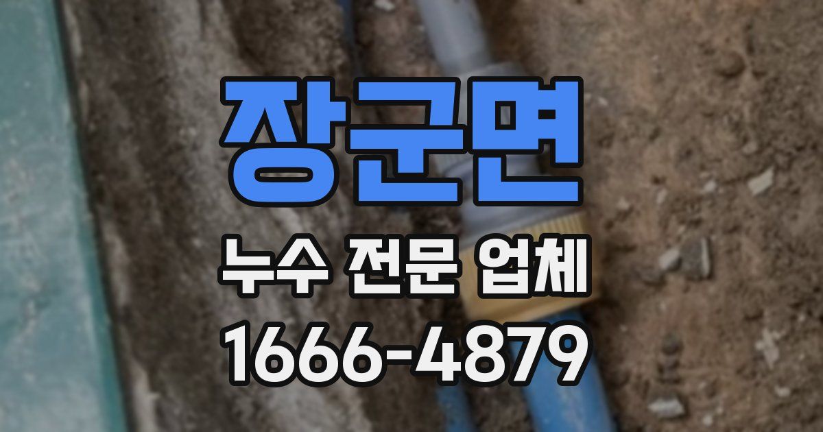 장군면 누수 전문 업체