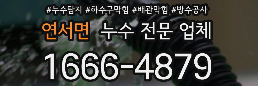 연서면 누수 전문 업체