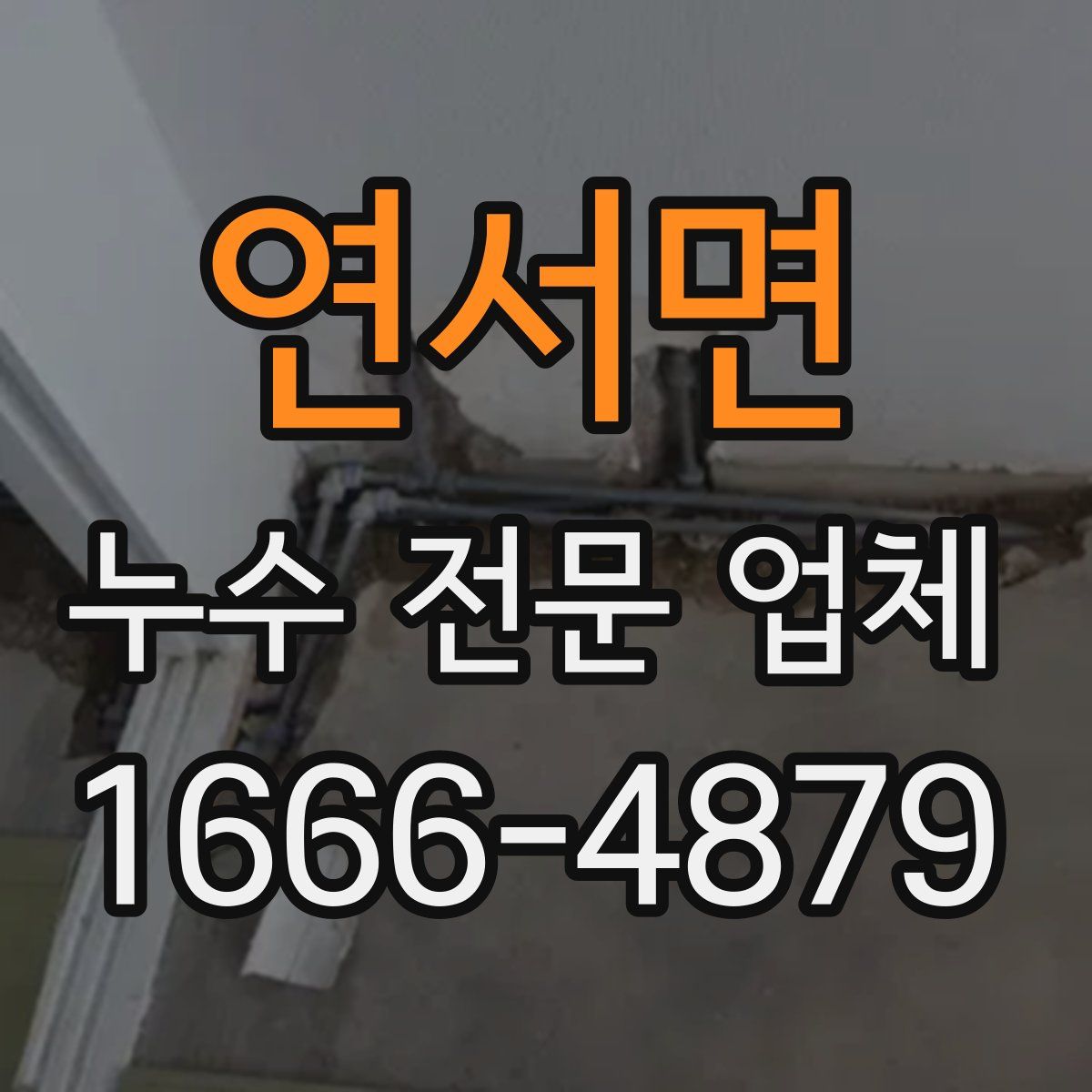 연서면 누수 전문 업체