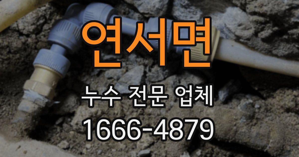 연서면 누수 전문 업체