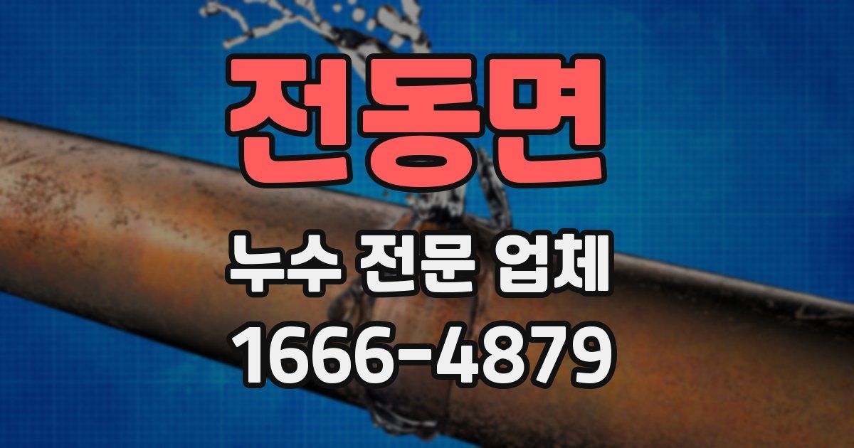 전동면 누수 전문 업체