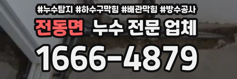 전동면 누수 전문 업체