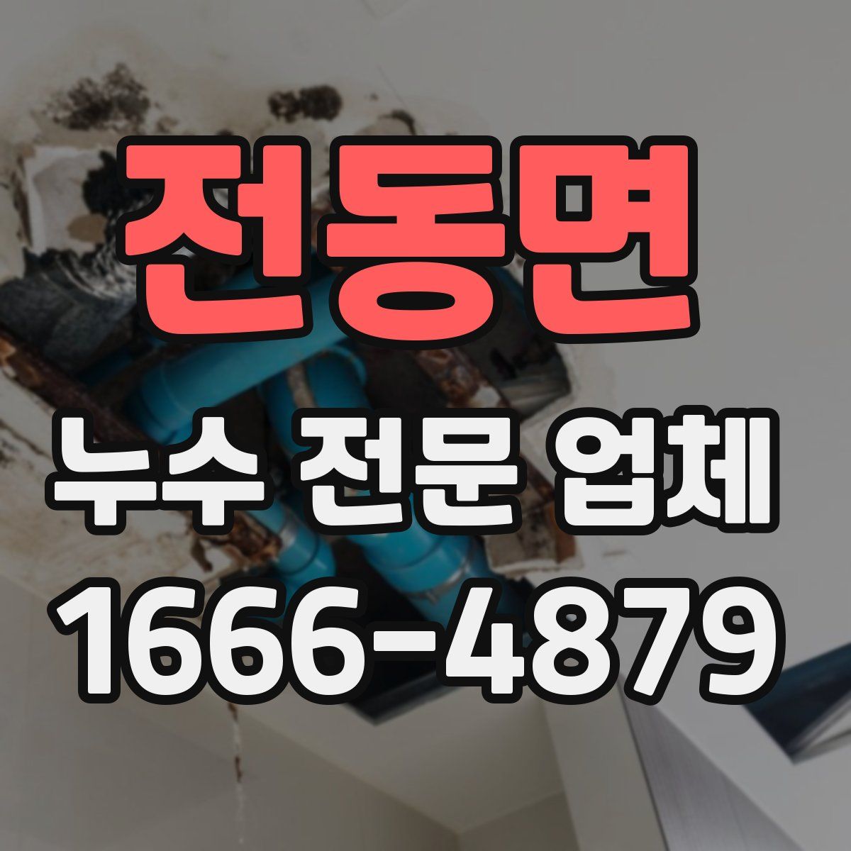 전동면 누수 전문 업체