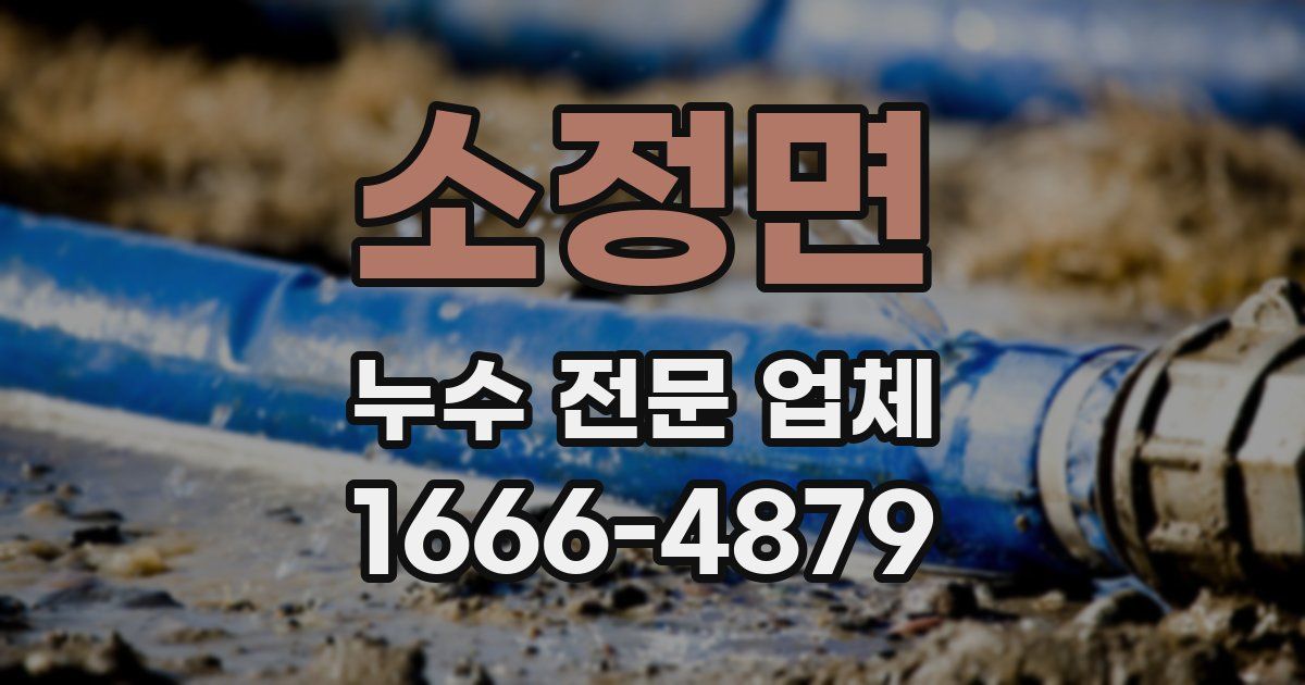 소정면 누수 전문 업체