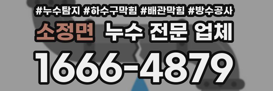 소정면 누수 전문 업체