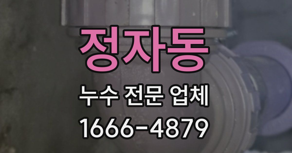 정자동 누수 전문 업체