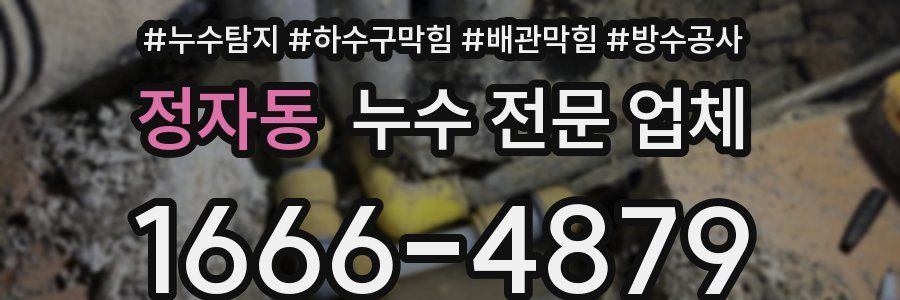 정자동 누수 전문 업체