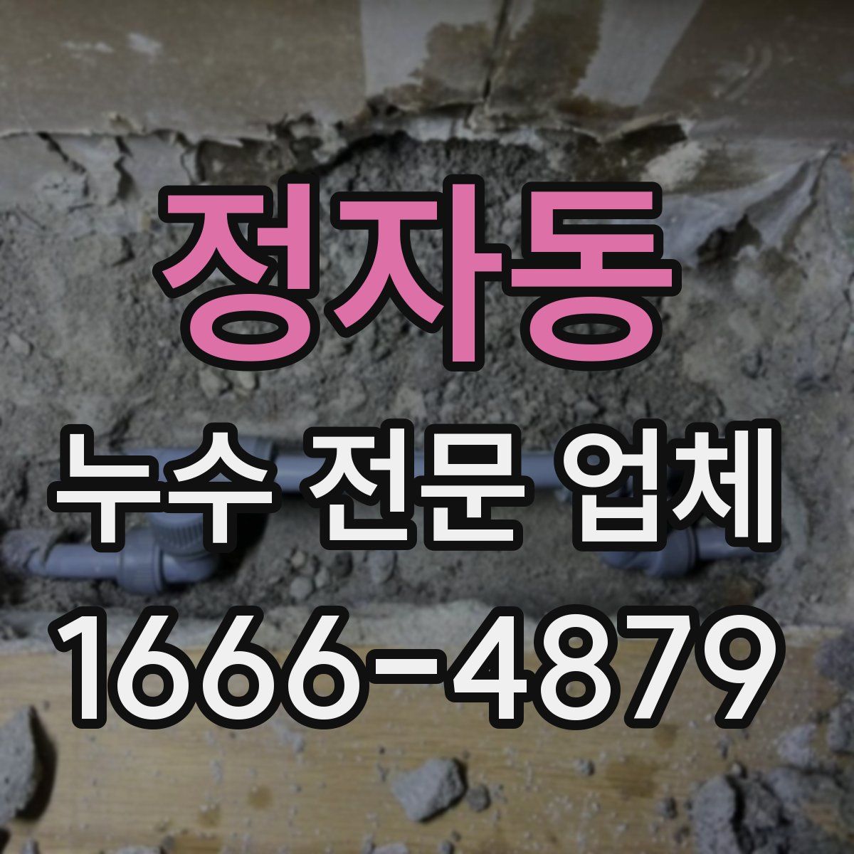 정자동 누수 전문 업체