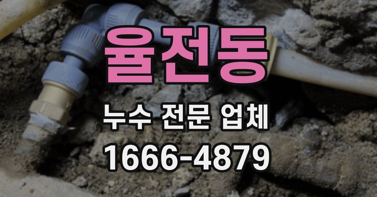 율전동 누수 전문 업체