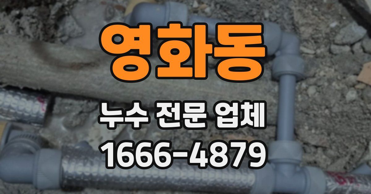 영화동 누수 전문 업체