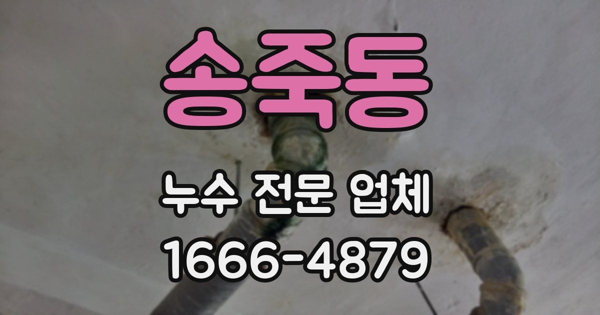 송죽동 누수 전문 업체