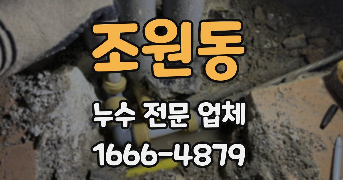 조원동 누수 전문 업체