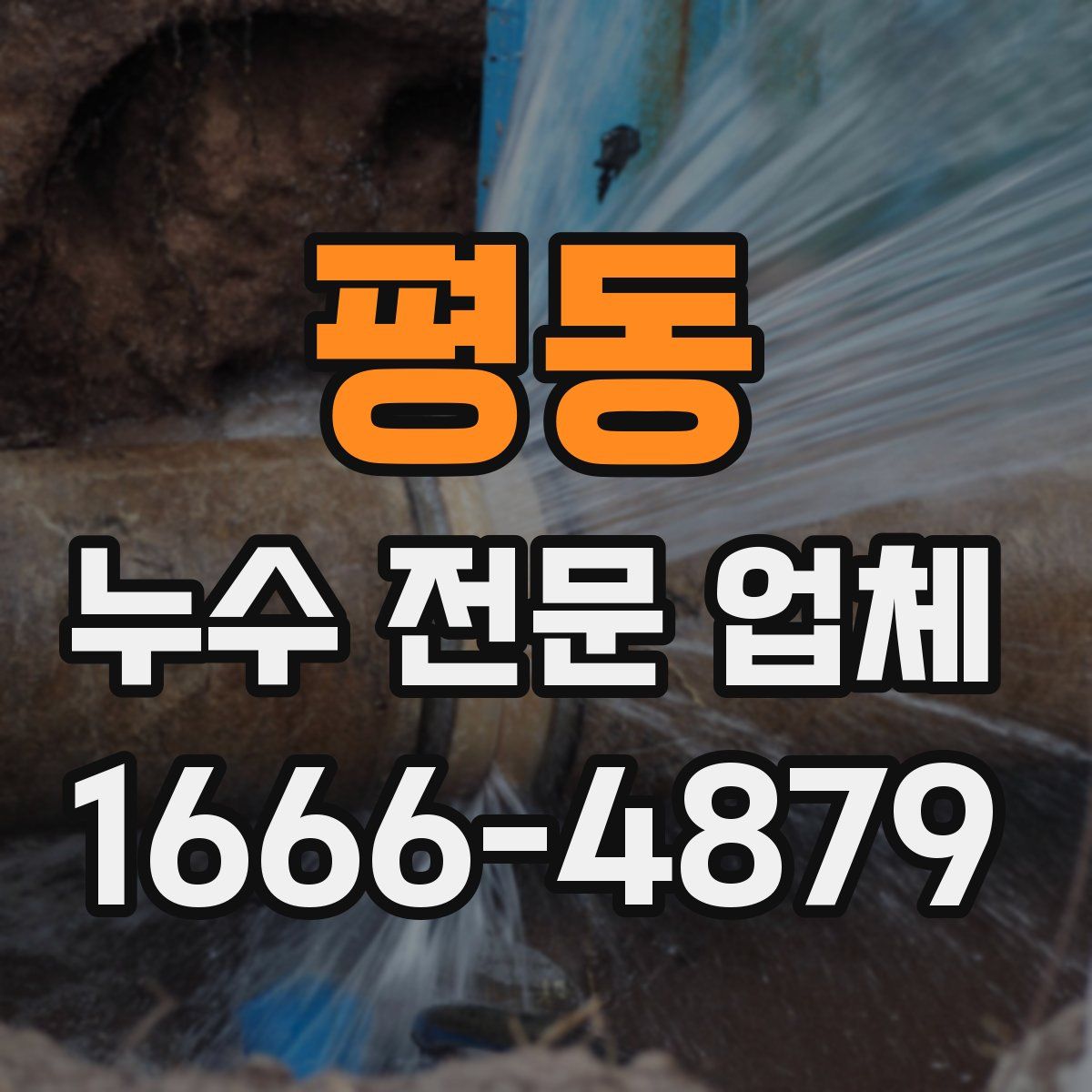 평동 누수 전문 업체