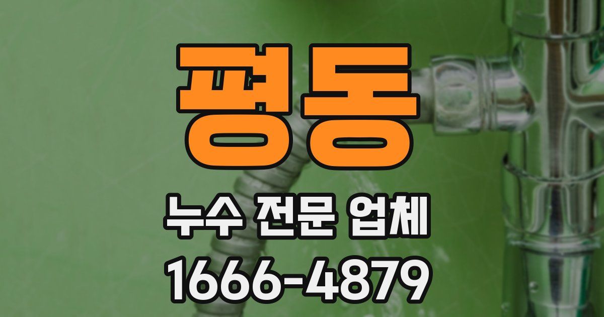 평동 누수 전문 업체