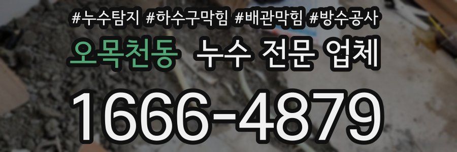 오목천동 누수 전문 업체