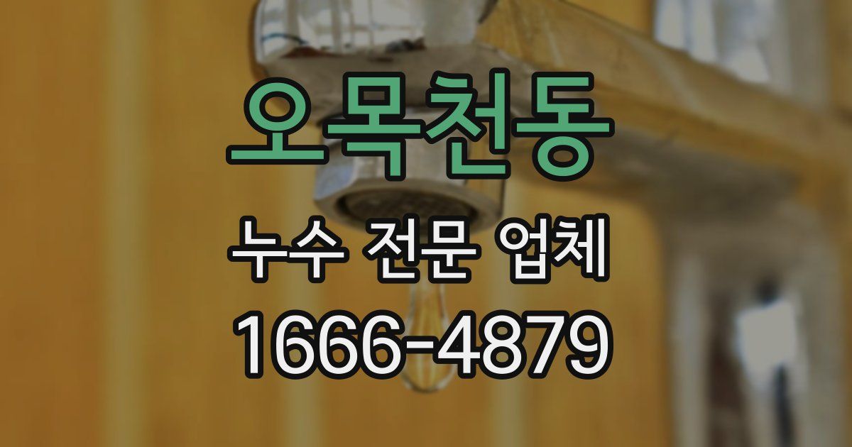 오목천동 누수 전문 업체
