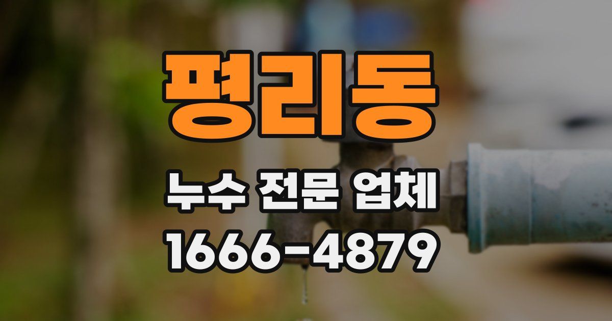 평리동 누수 전문 업체