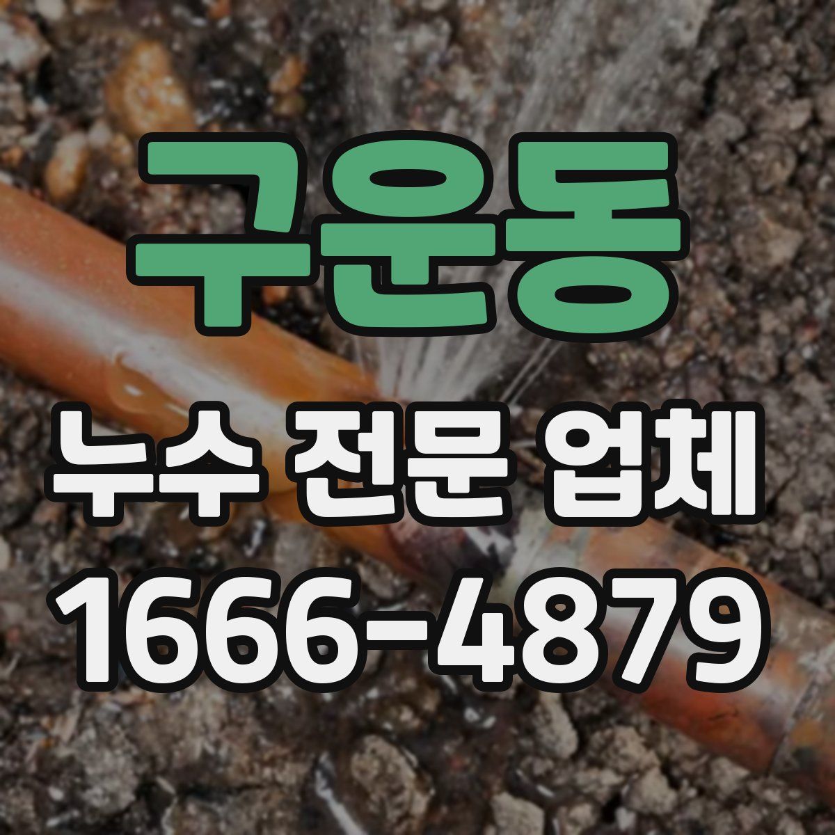 구운동 누수 전문 업체