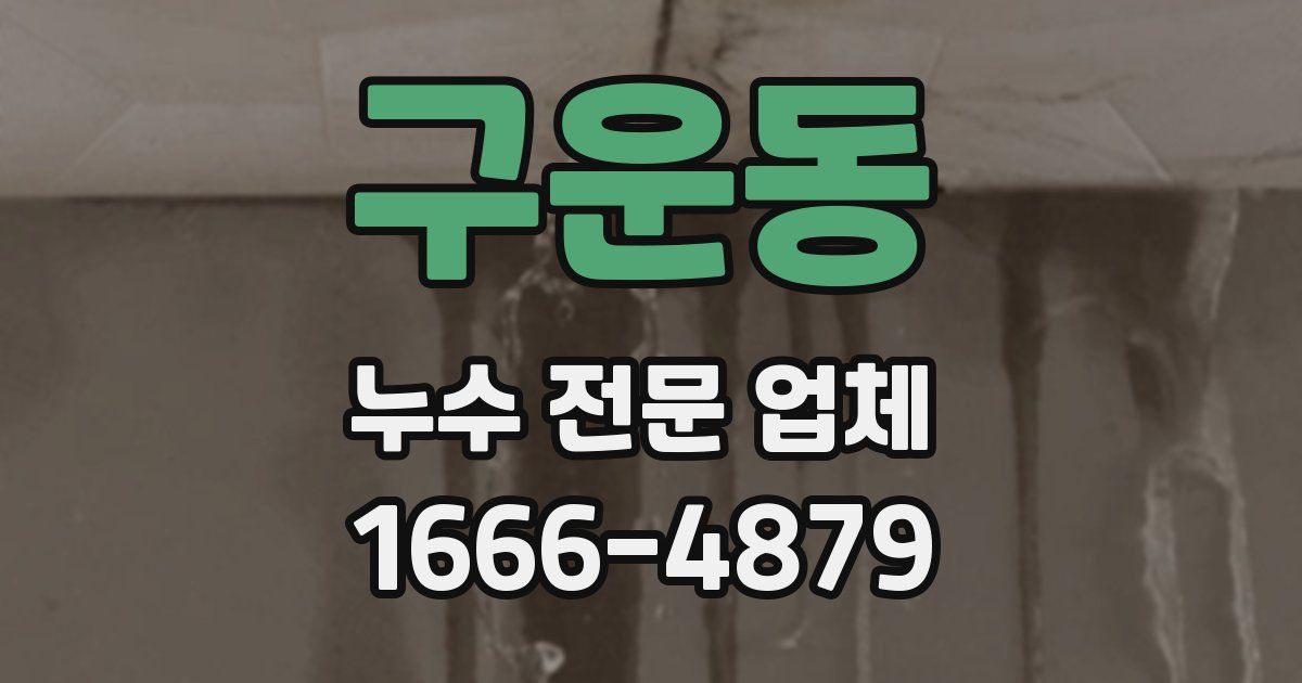 구운동 누수 전문 업체