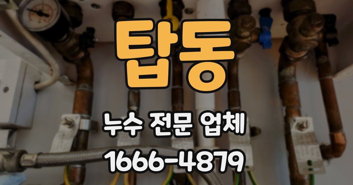 탑동 누수 전문 업체