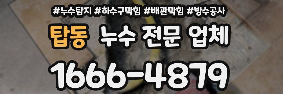 탑동 누수 전문 업체