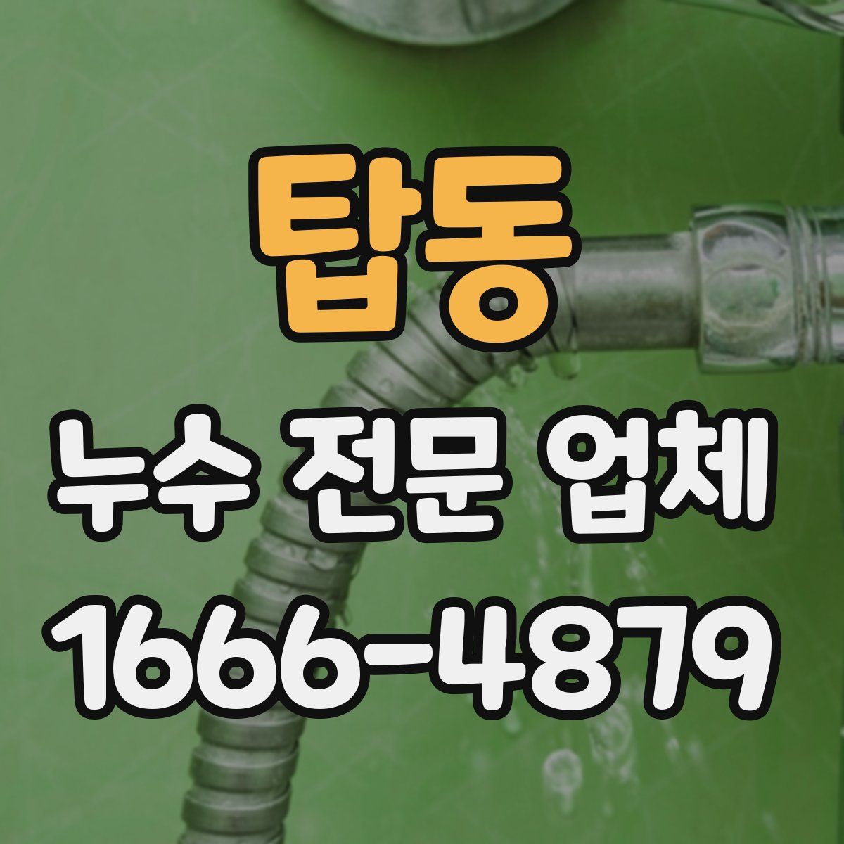 탑동 누수 전문 업체
