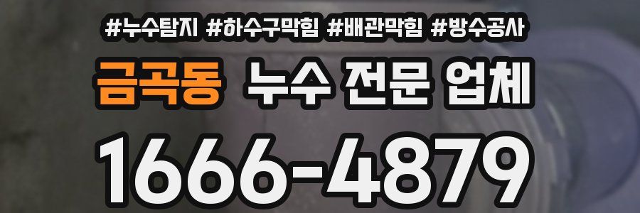금곡동 누수 전문 업체
