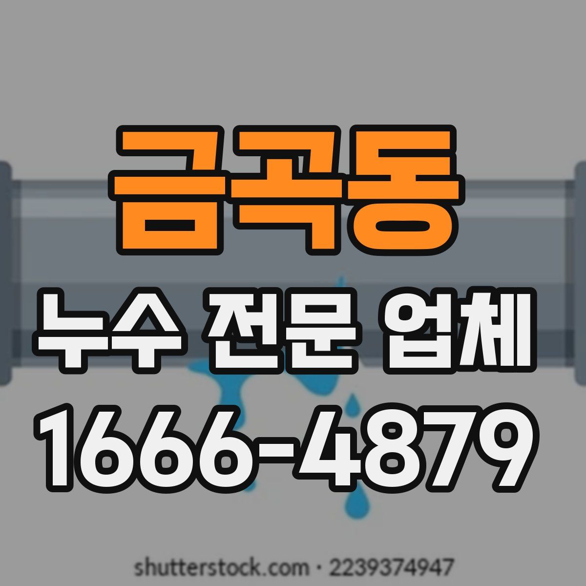 금곡동 누수 전문 업체