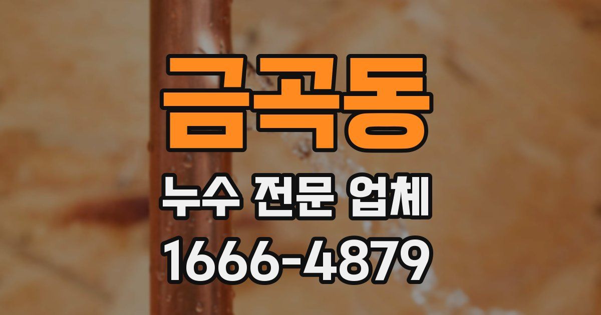 금곡동 누수 전문 업체