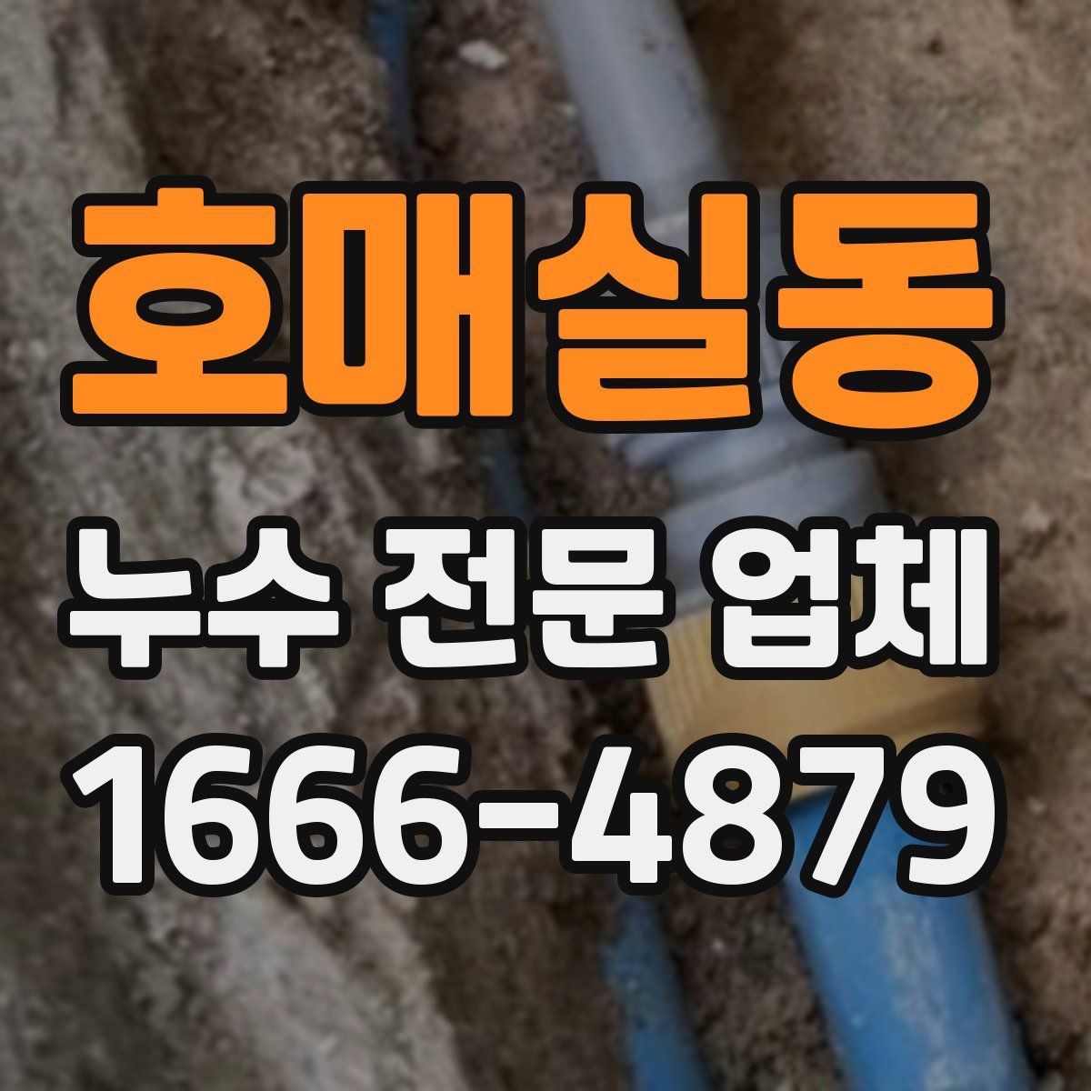 호매실동 누수 전문 업체