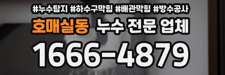 호매실동 누수 전문 업체